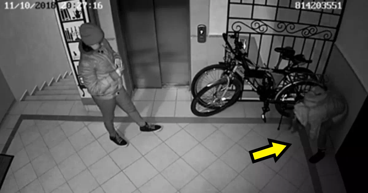 エレベーター前で堂々と野ションする女性。しかし物音がしたのか、途中でそそくさとエレベーターに乗り込む。