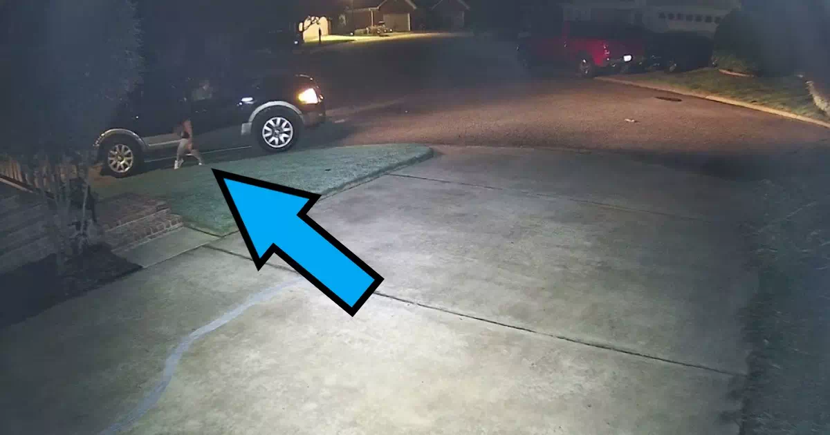 どうやら、車内の酔っ払った女性が用を足すのにちょうど良い静かな場所を見つけたと思ったようです。