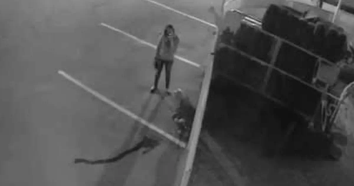 タバコを吸いながら野ションする女性